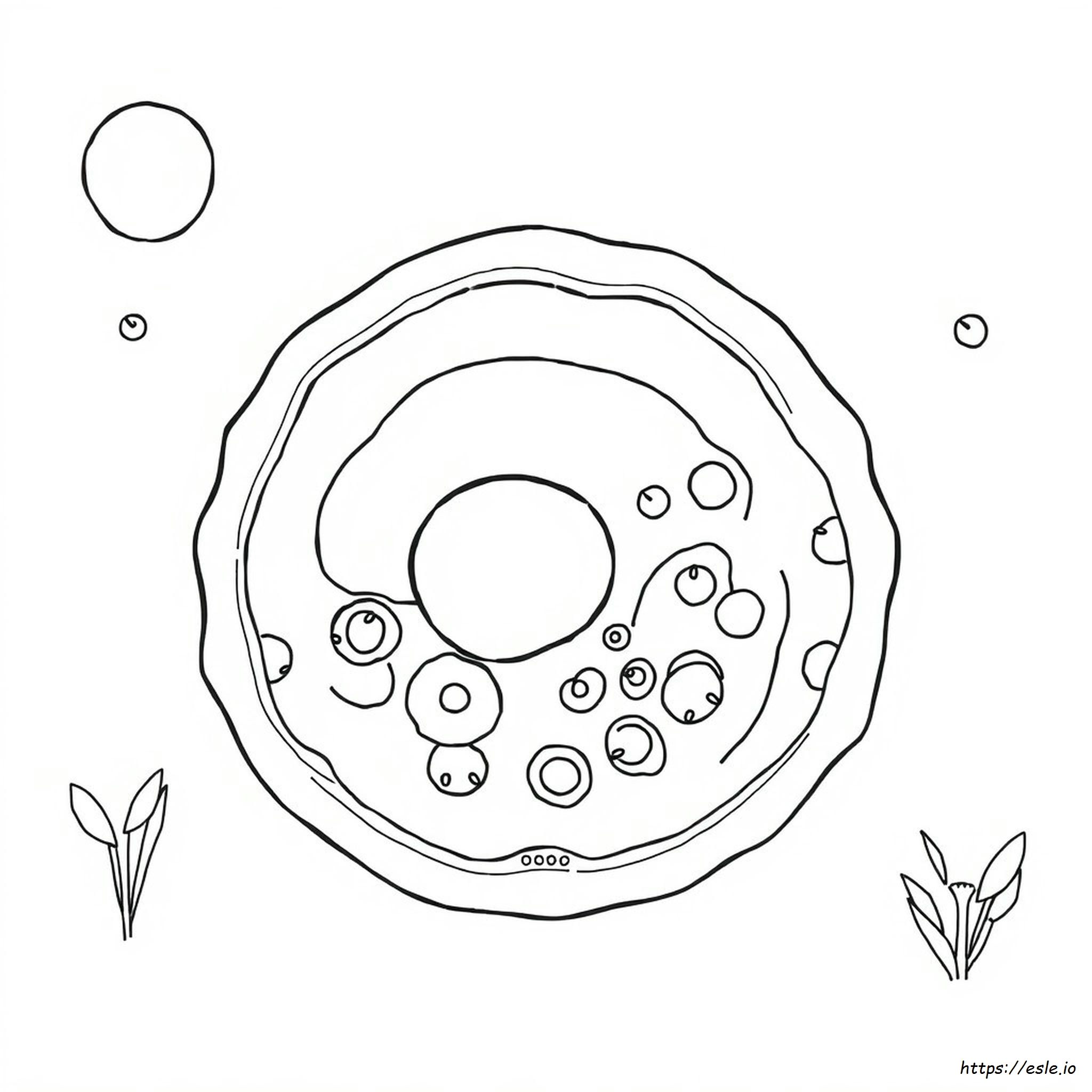 Animal Cell Coloring Sheet Answer Key