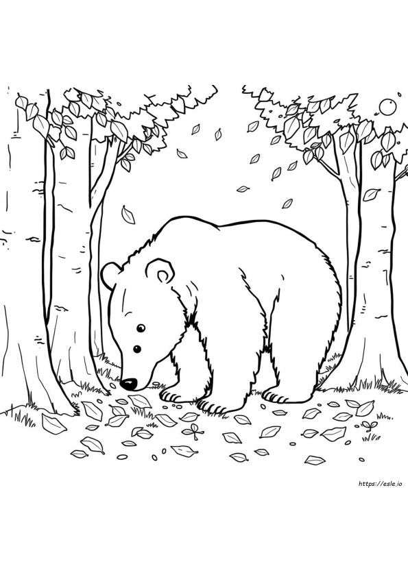 Realistic Bear Coloring Pages