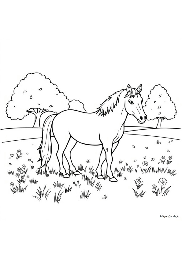 Horse Printable Colouring Pages