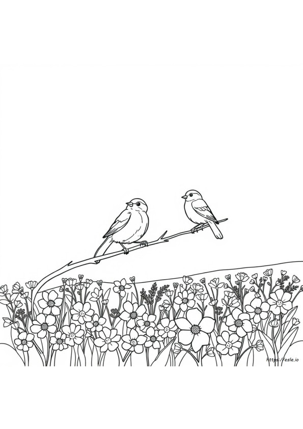 Can Bluebirds See The Colour Blue