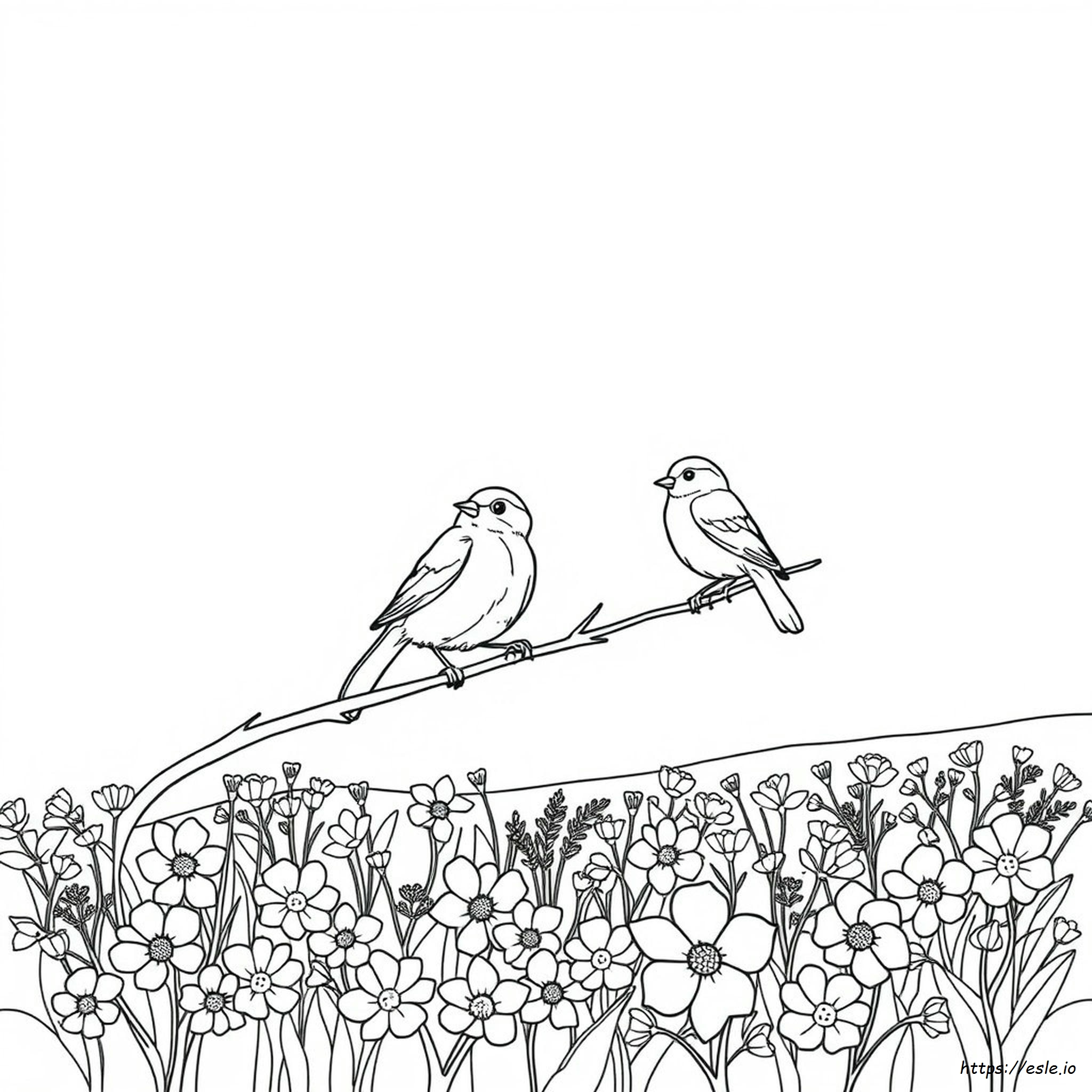 Gambar Mewarnai Burung Biru Untuk Dicetak