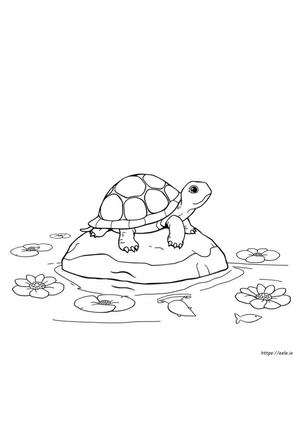 Immagine Da Colorare Di Tartaruga