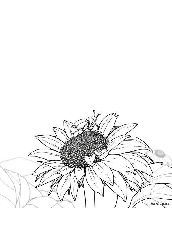 Realistic Insect Coloring Pages