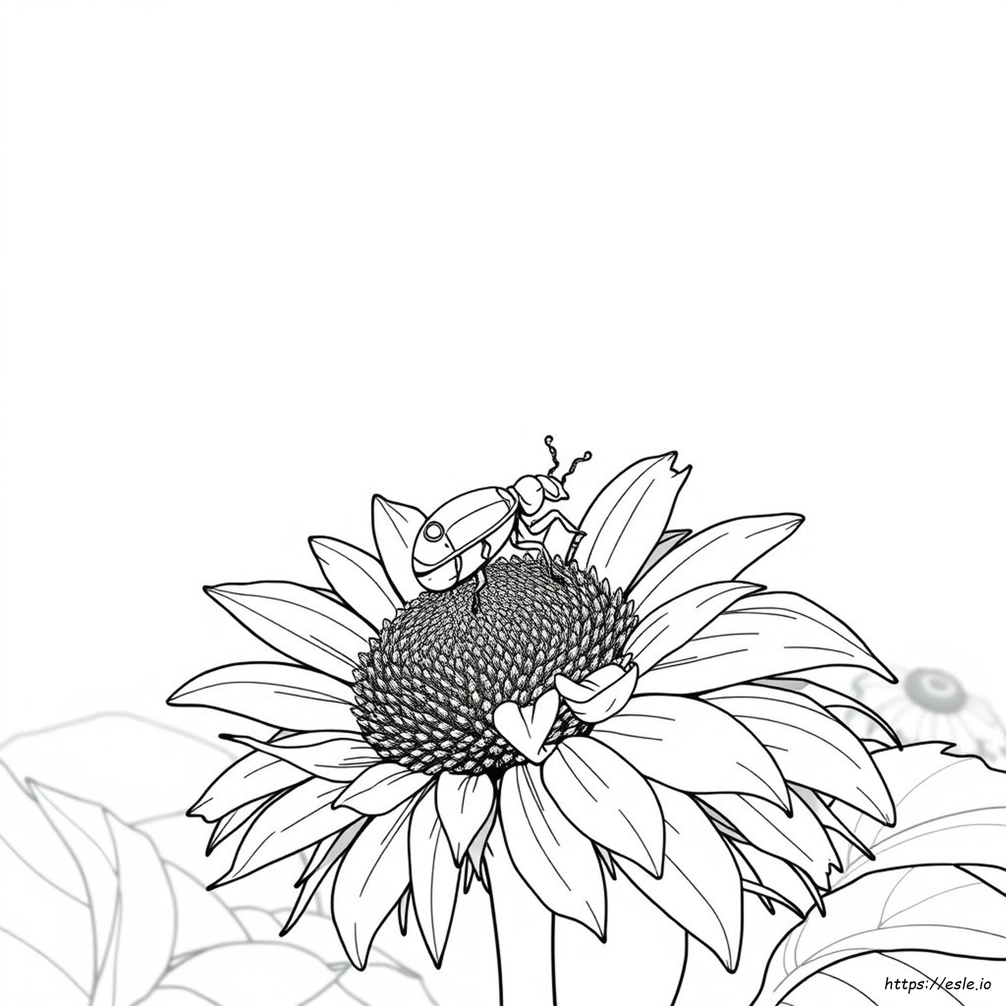 Realistic Insect Coloring Pages