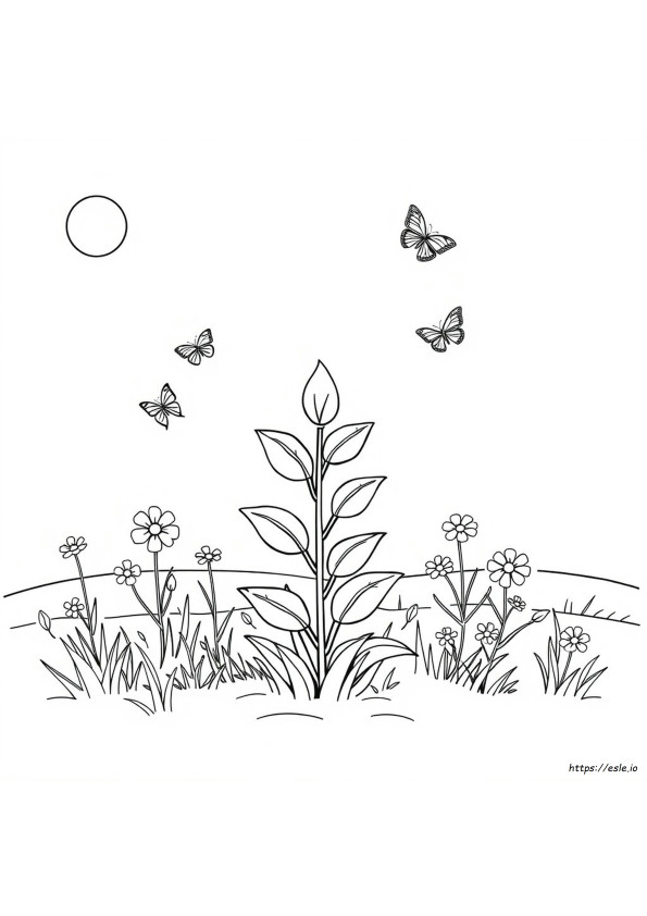 Plant Coloring Pages
