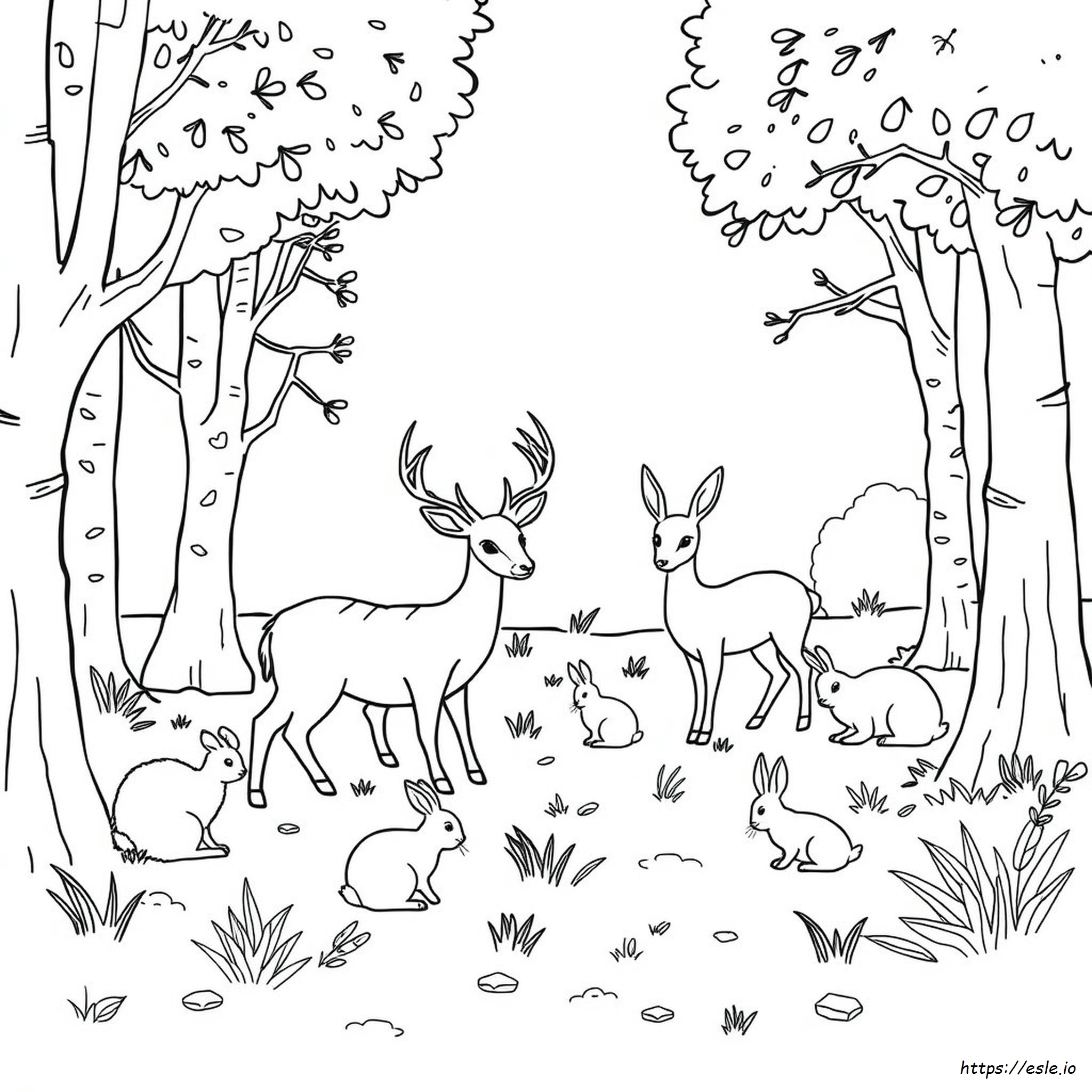 Disegni Del Bosco Da Colorare