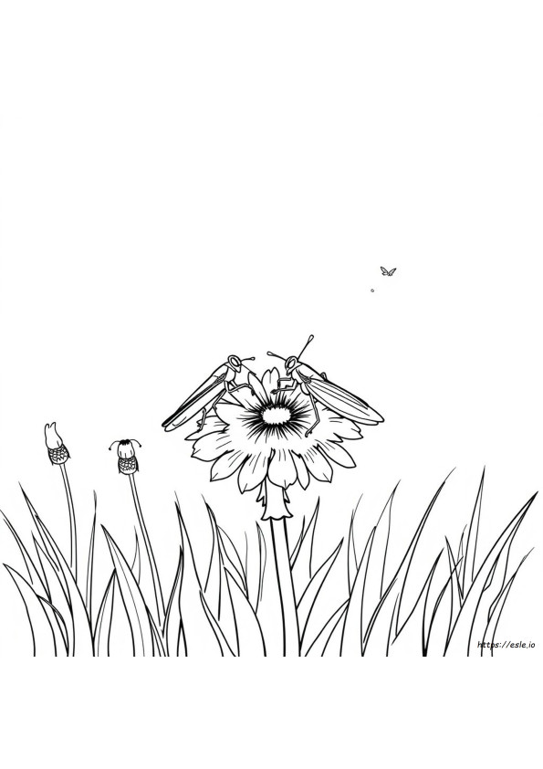 Desenhos De Grilo Para Colorir E Imprimir