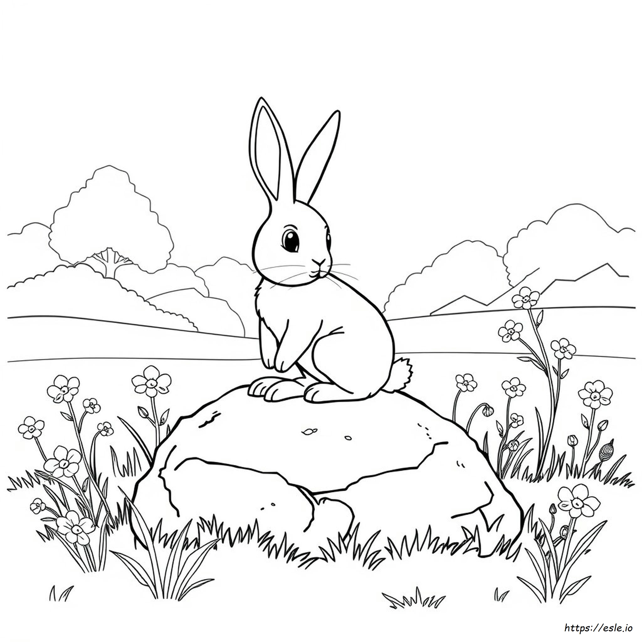 Rabbit Coloring Pages For Adults