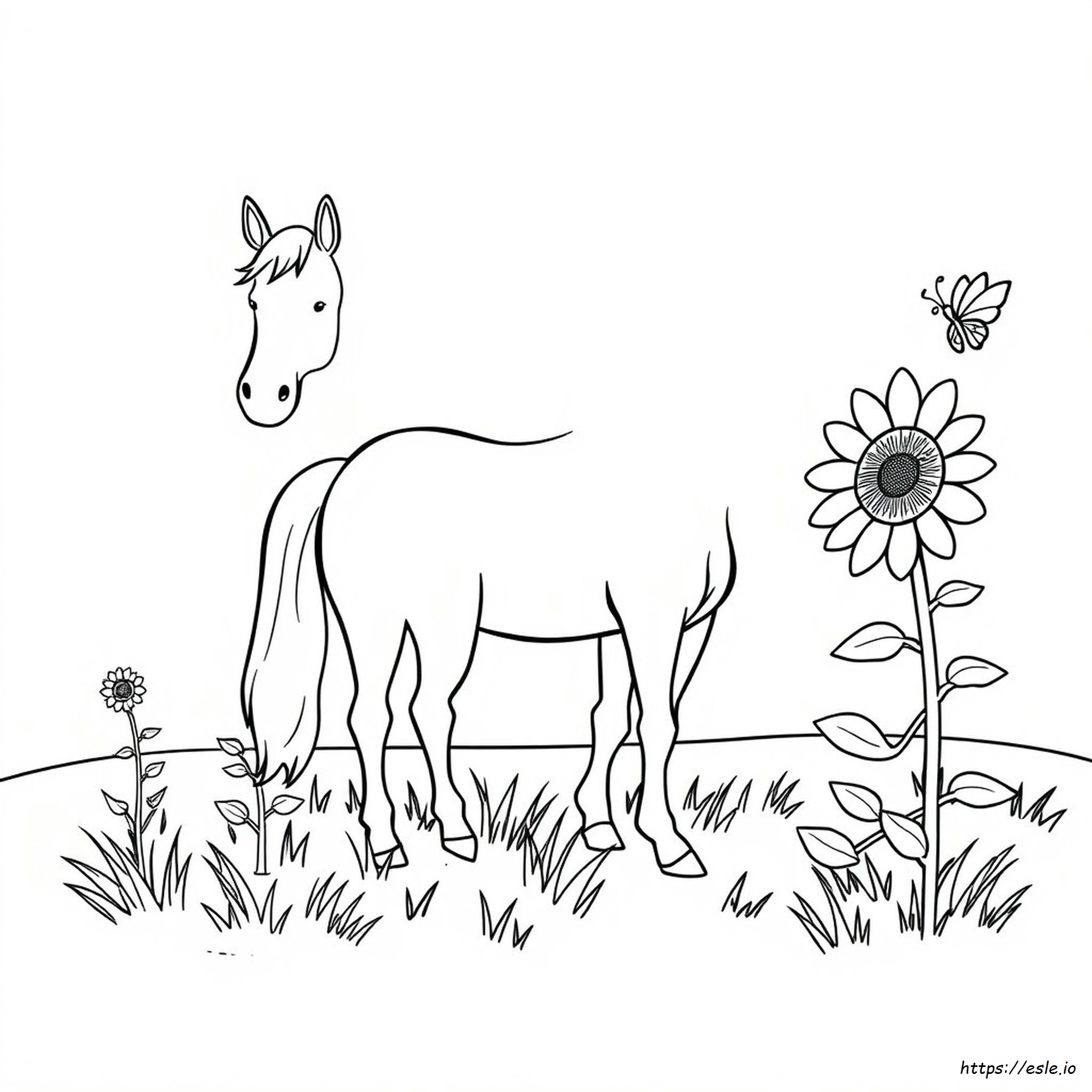 Paard Clipart Kleurplaat kleurplaat