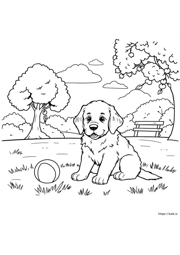Páginas Para Colorear De Cachorro Golden Retriever Imprimibles