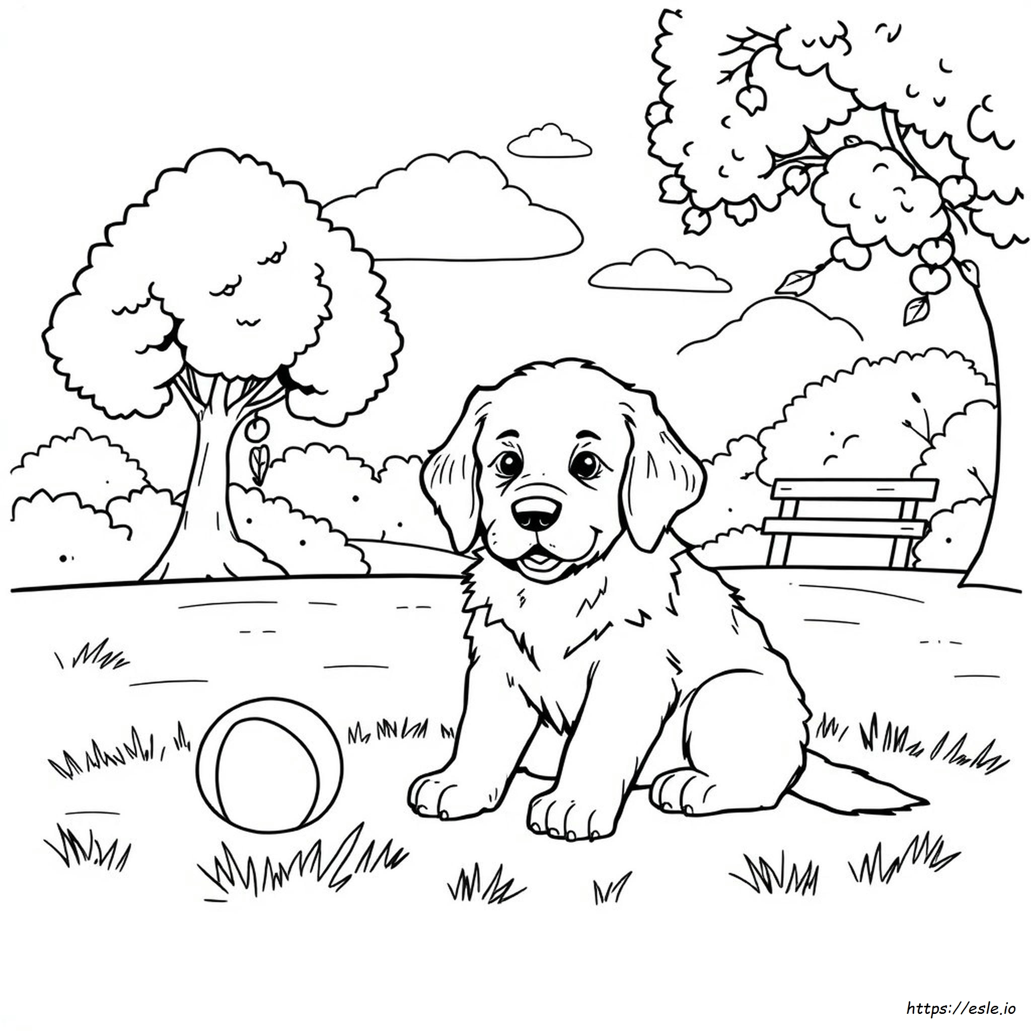 Coloriage Chiot Golden Retriever À Imprimer