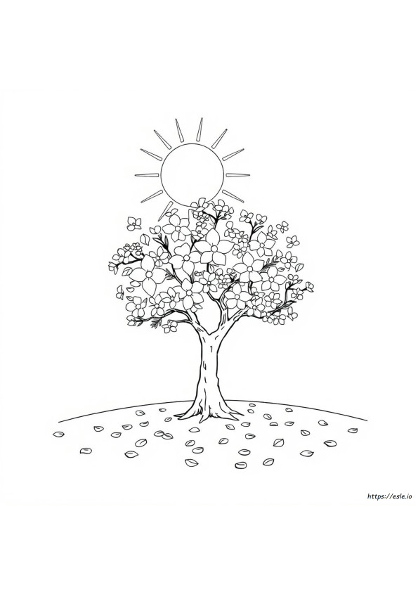 Aurinko Värityskuva