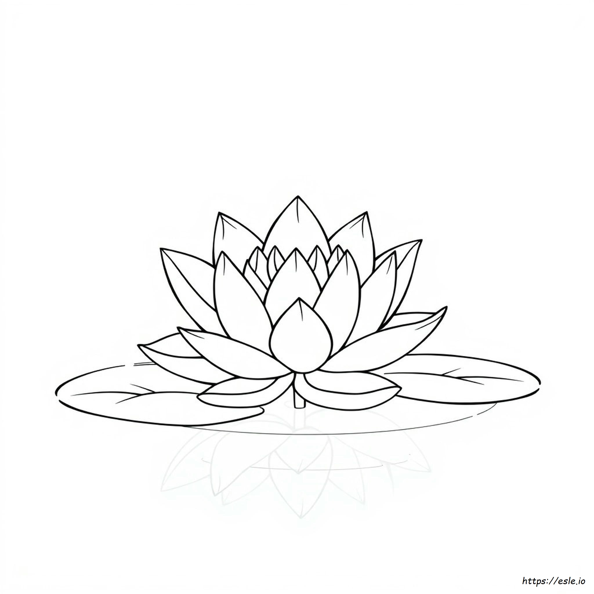 Lotus Flower Images For Colouring