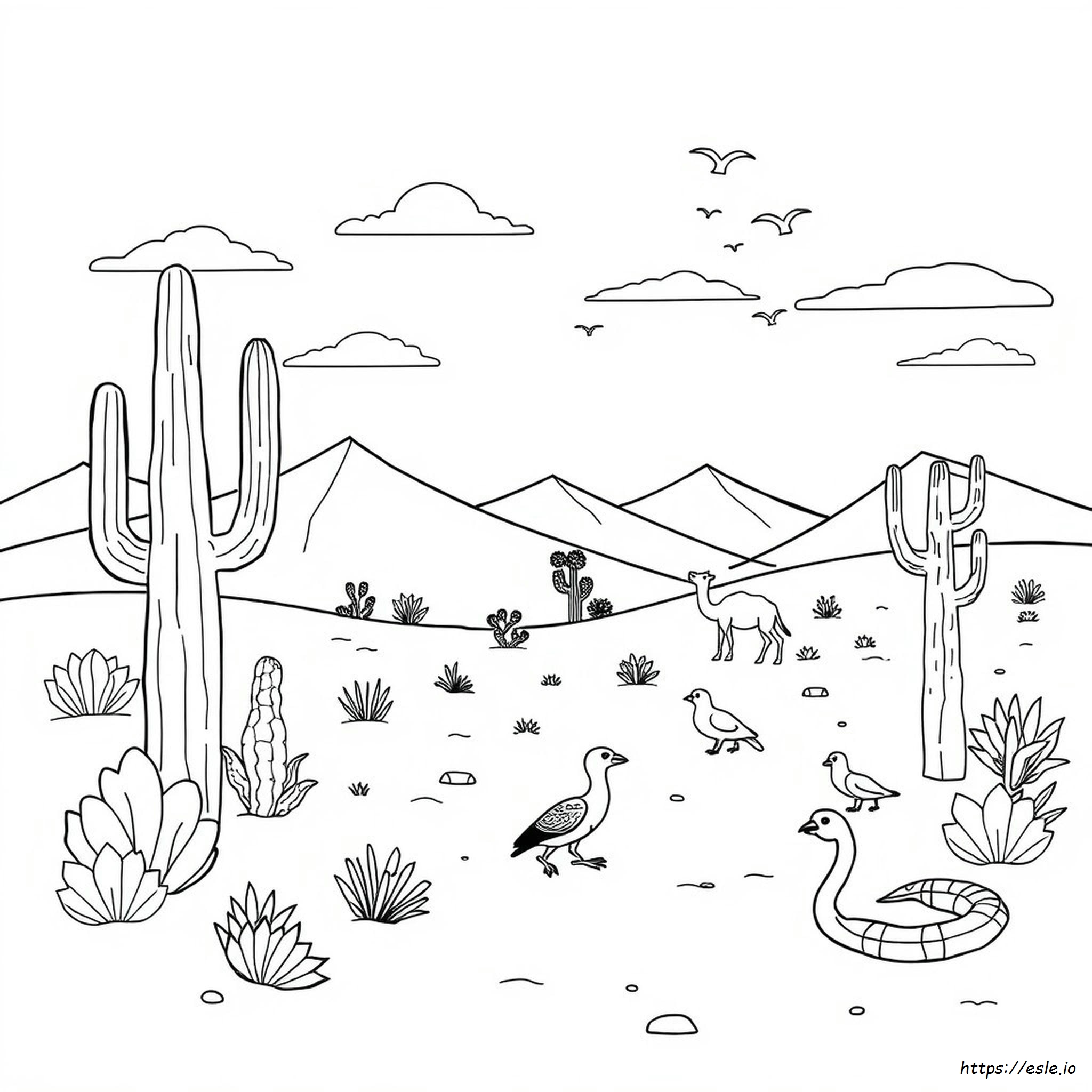 Printable Desert Animals Coloring Pages