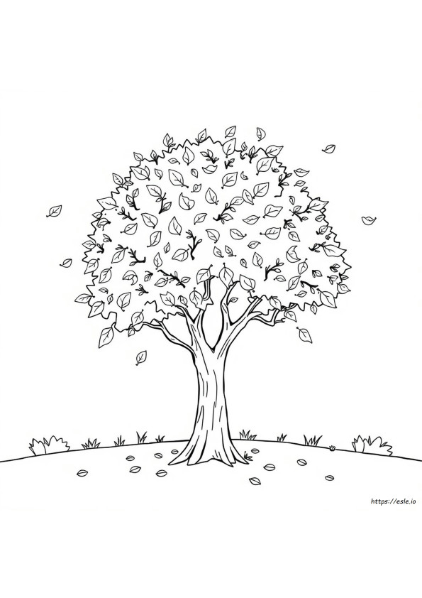 Coloring Pages Of Autumn Leaves