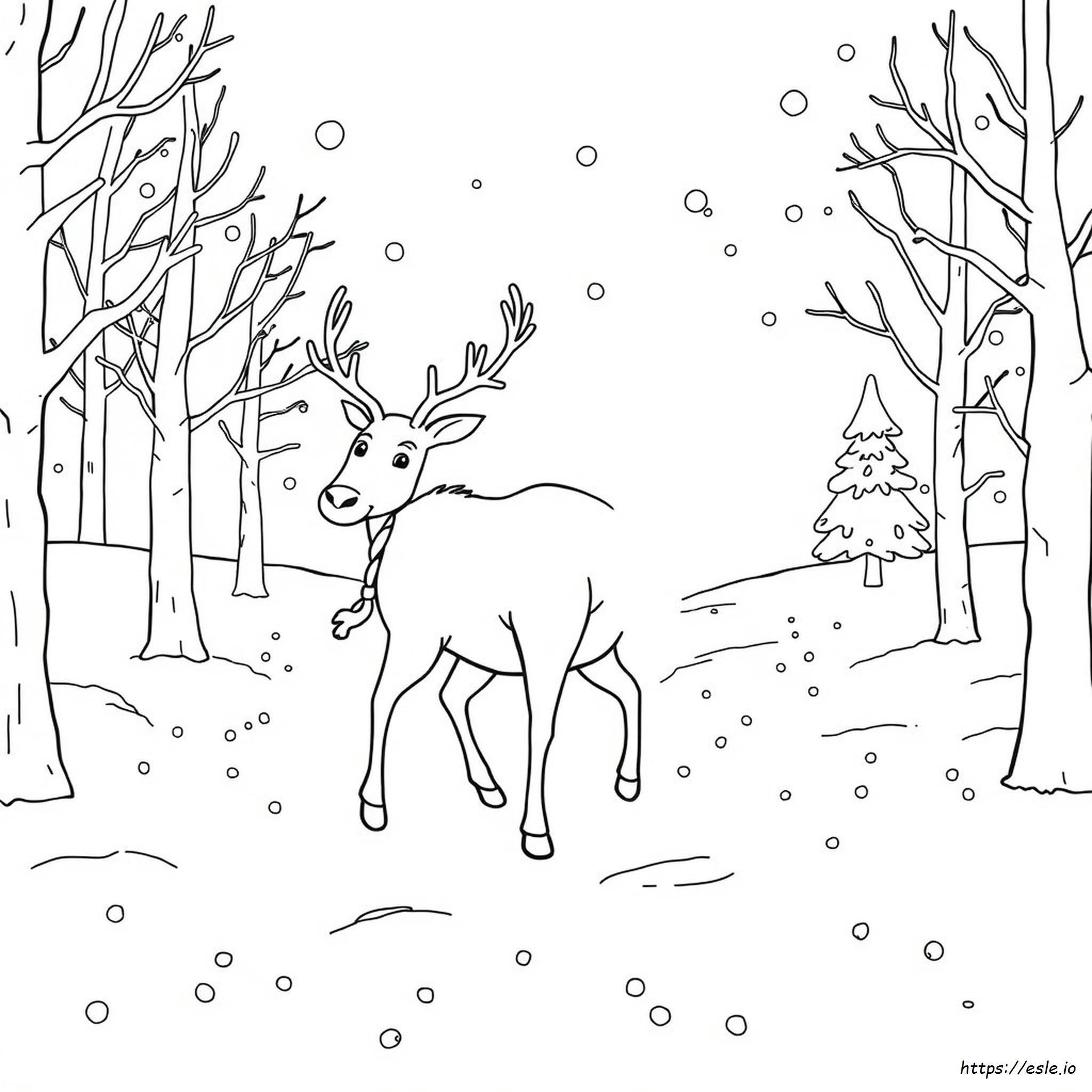Reindeer Colouring Pictures To Print
