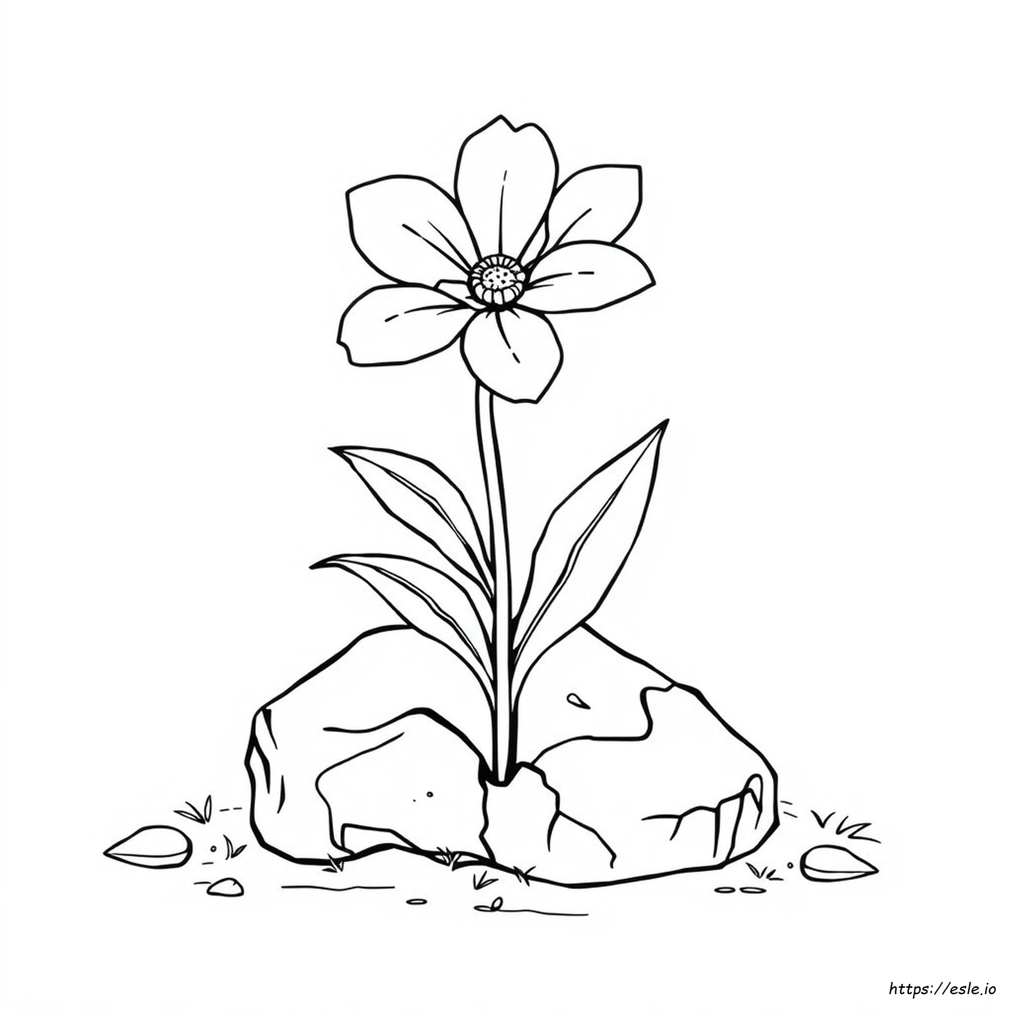 Hard Flower Coloring Pages Printable