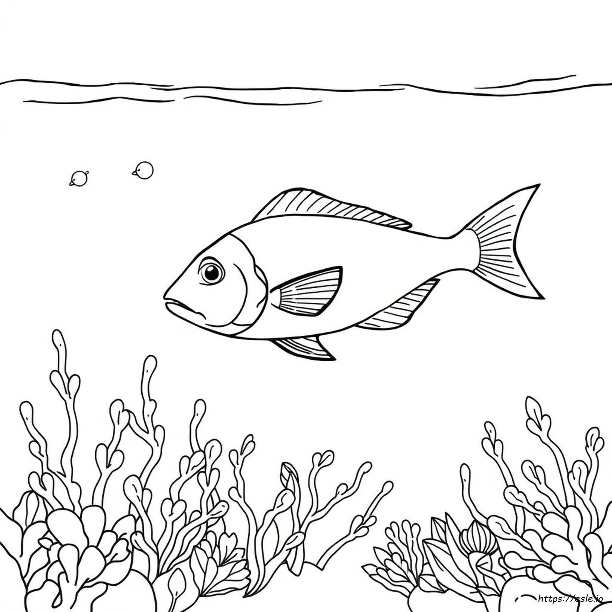 Gambar Mewarnai Ikan Realistis