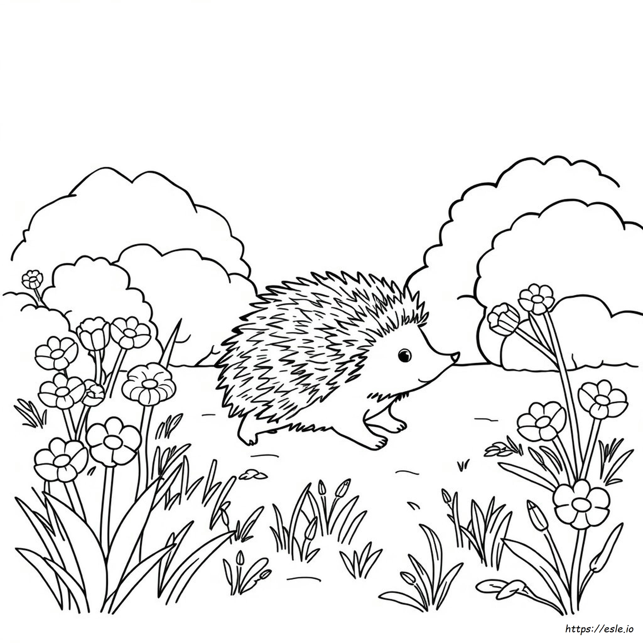 Coloring Pages Of Hedgehogs