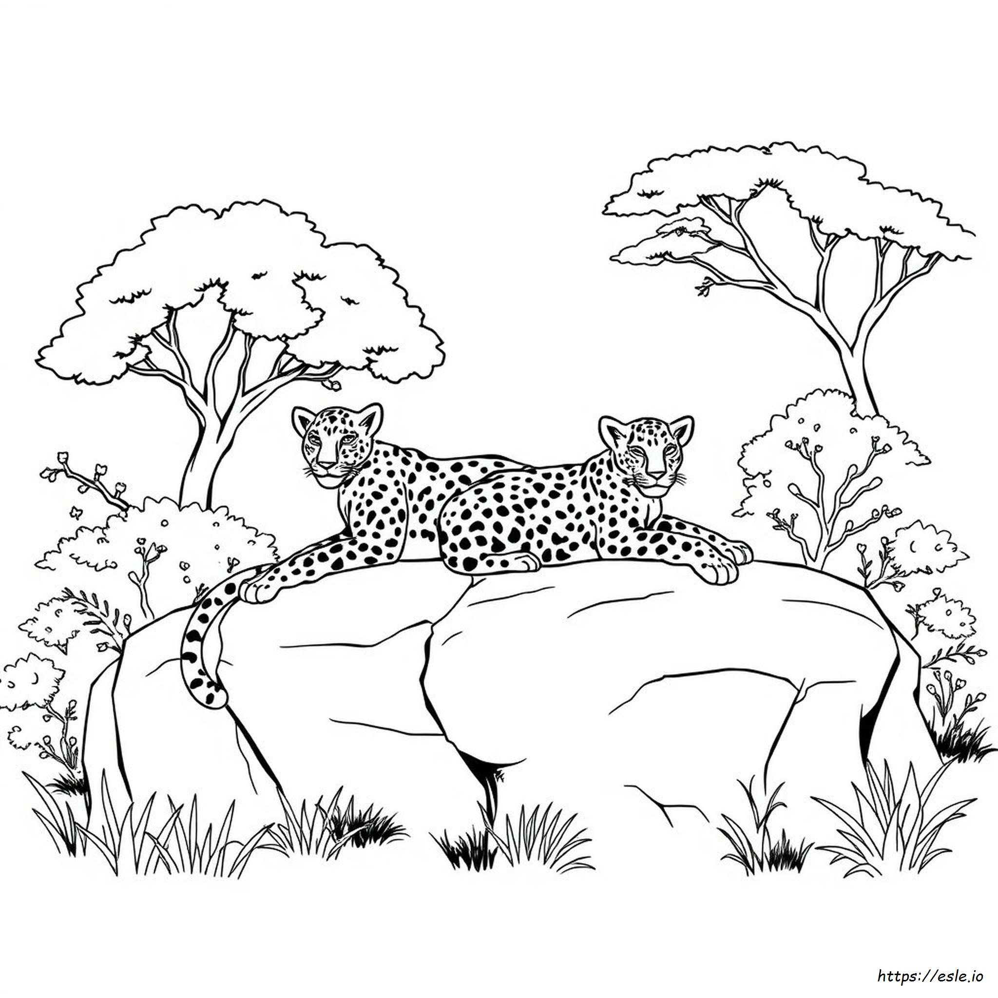 Leopard Picture To Color