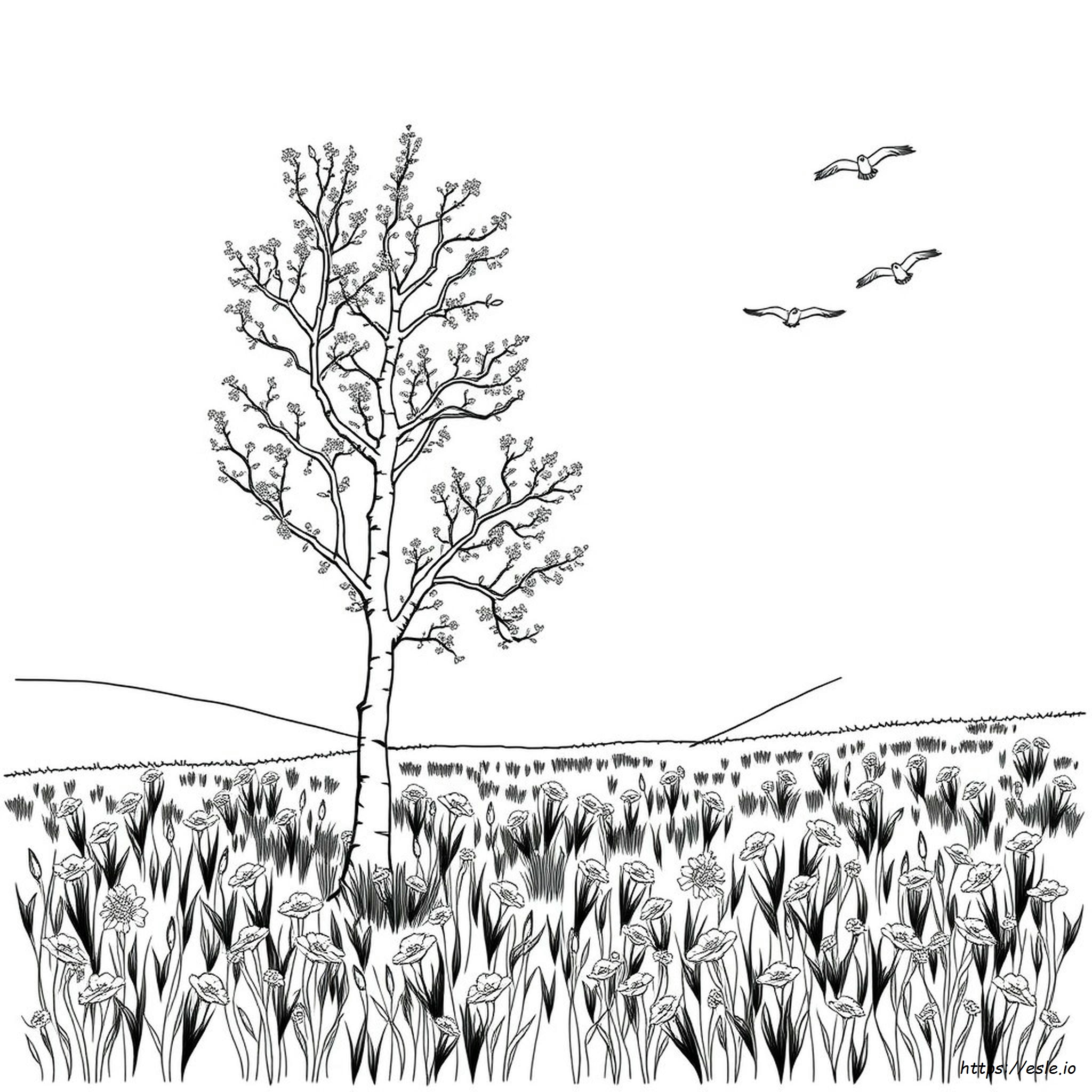 Aspen Tree Coloring Page
