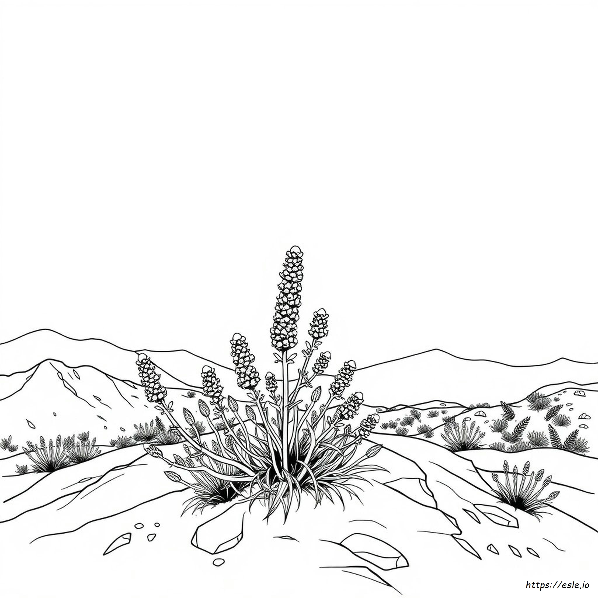 Disegno Artemisia Da Colorare Gratis