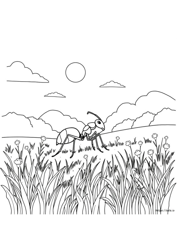 Gaa Colouring Pages