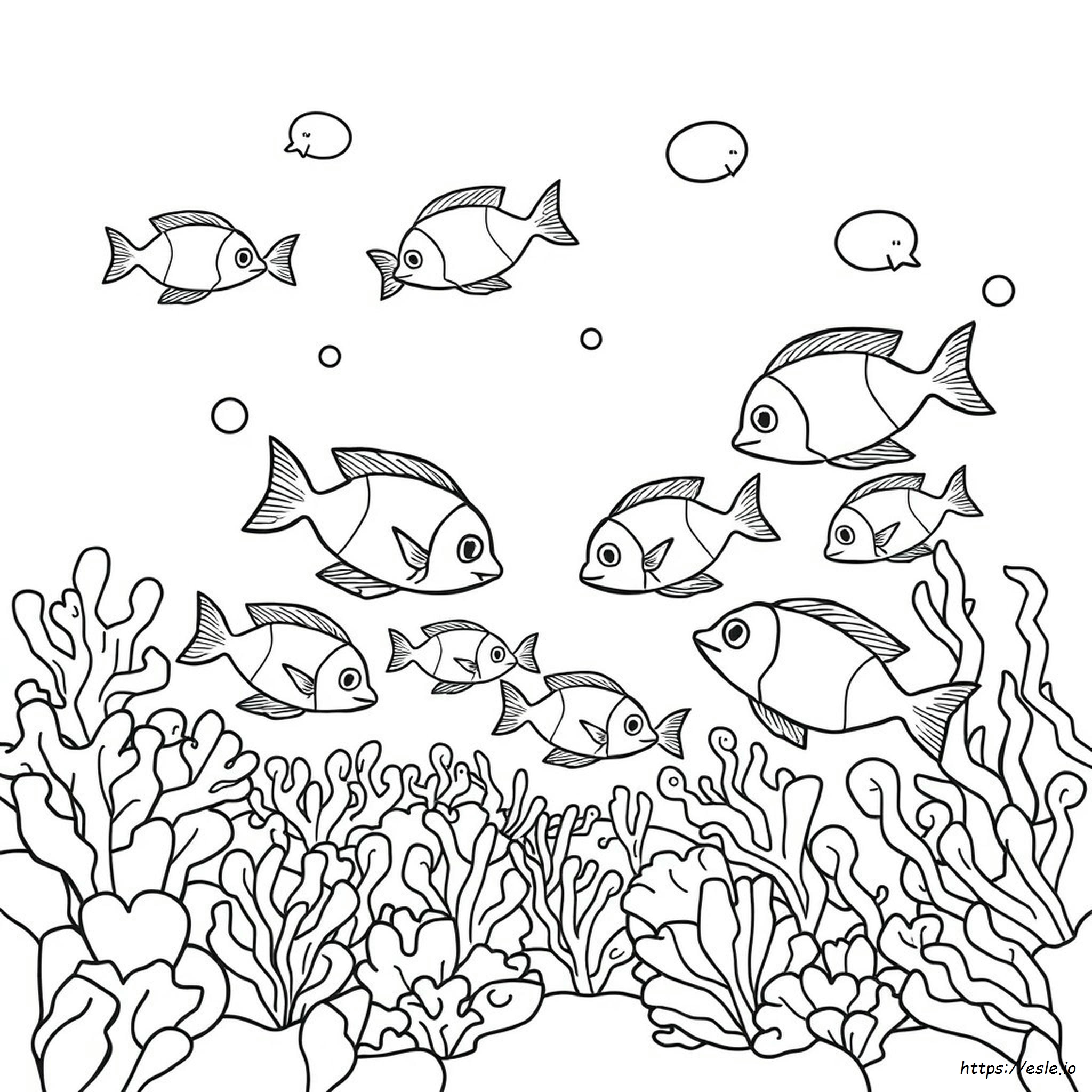 Gambar Mewarnai Ikan Kecil