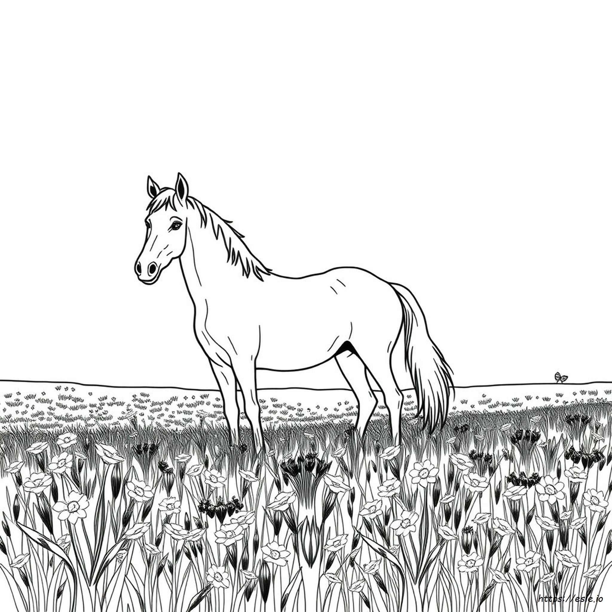 Horseland Colouring Pages