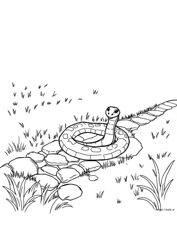 Snake Clipart Coloring