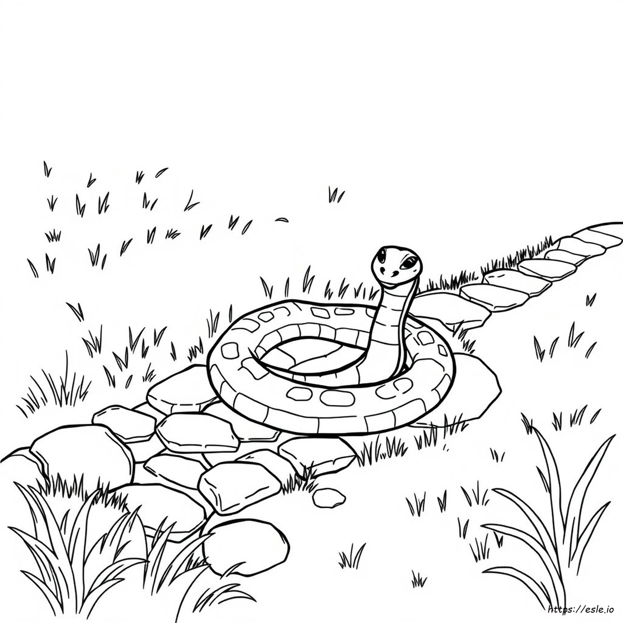 Coloriage Serpent Clipart À Imprimer
