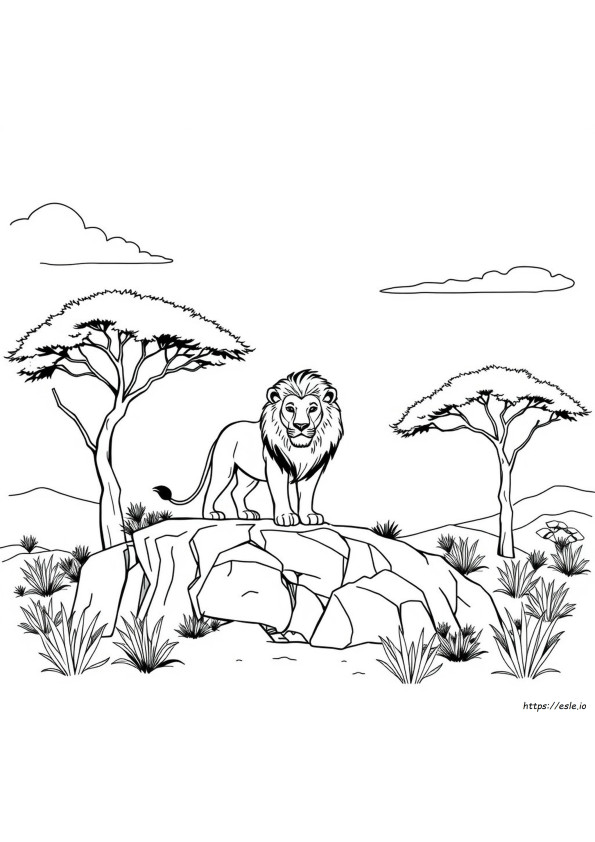 Animal Coloring Pages For Teenagers