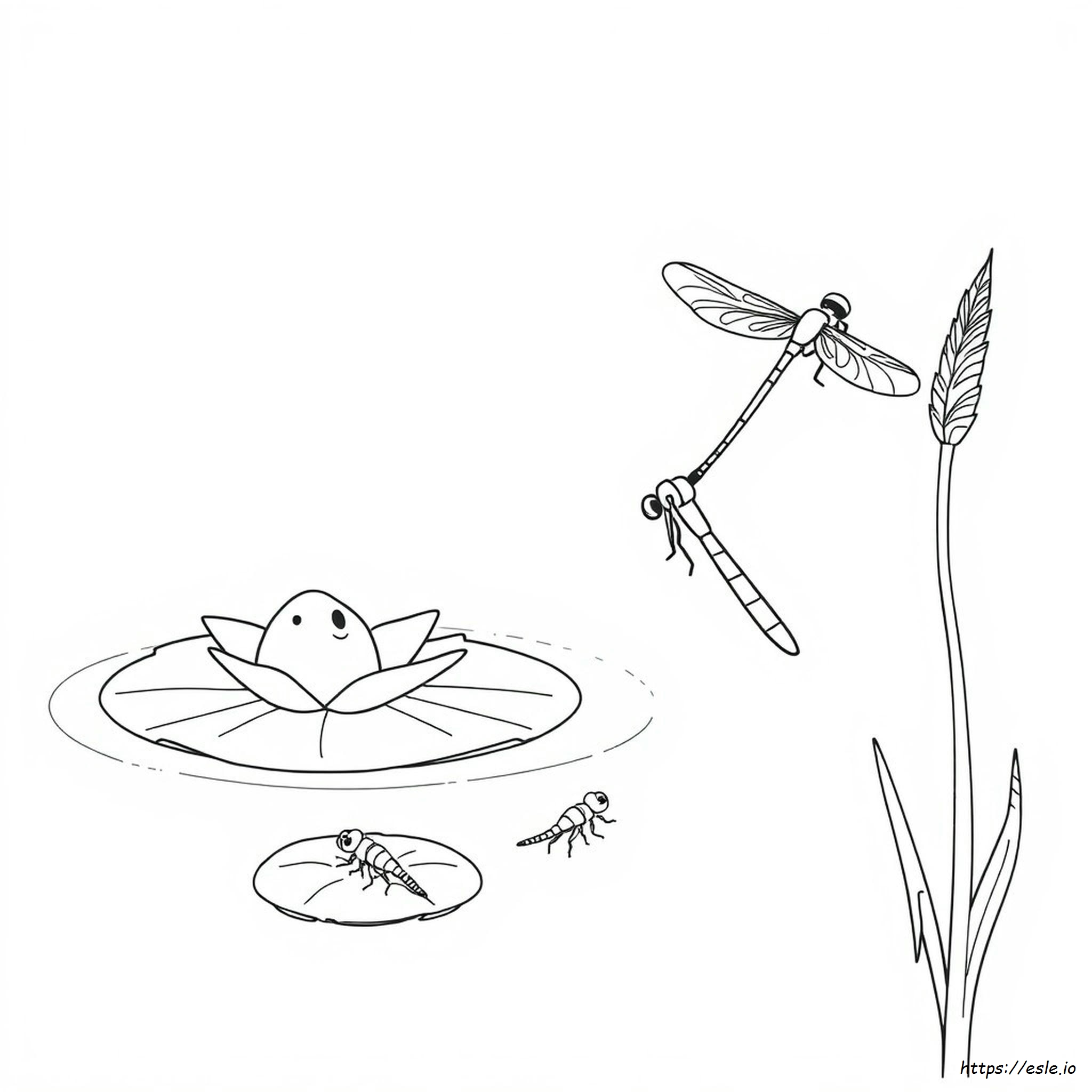 Life Cycle Of A Dragon Fly Coloring Page