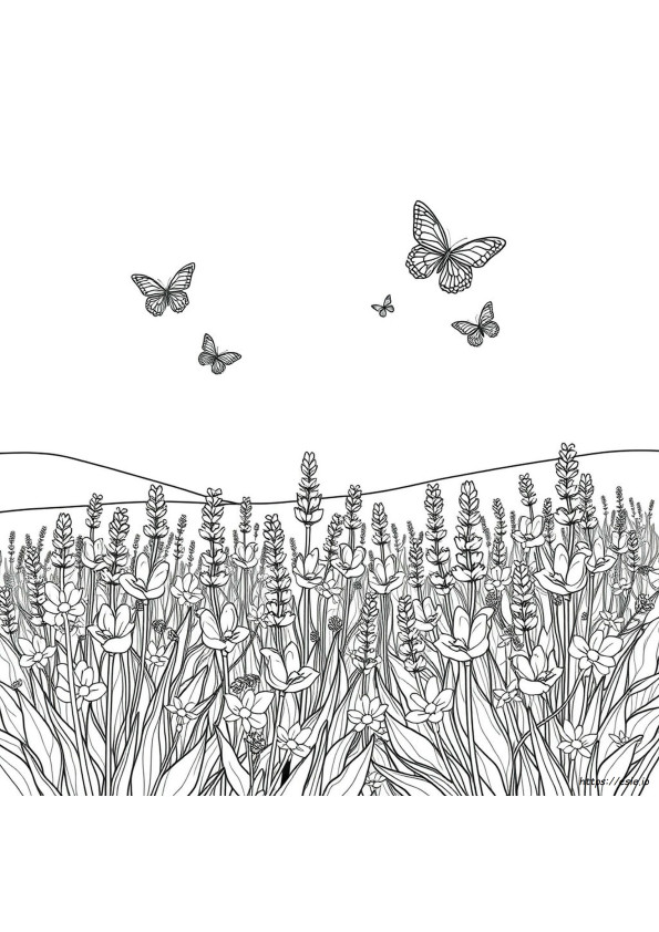 Disegni Dettagliati Da Colorare Per Adulti, Stampabili Gratis
