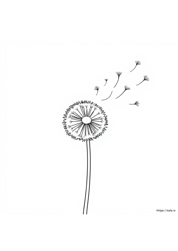 Dandelion Color Code