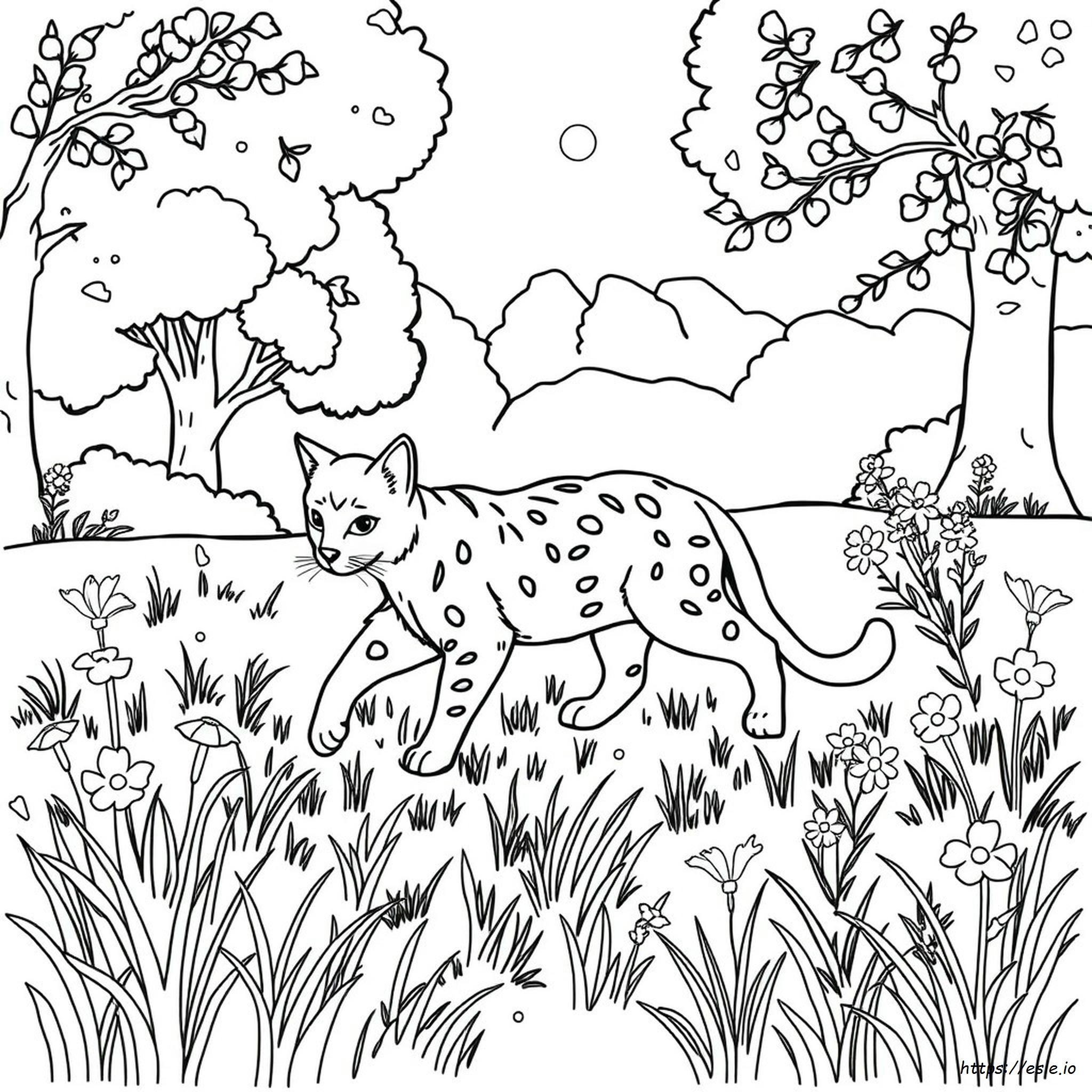 Wild Cat Coloring Pages
