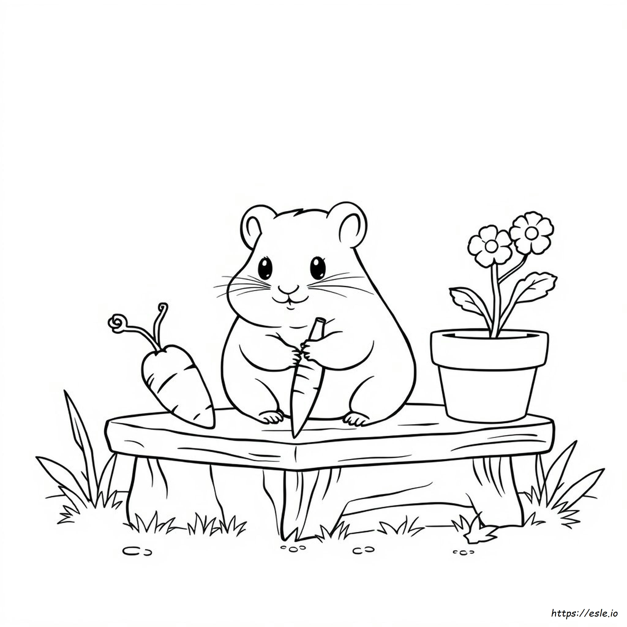 Cute Hamster Colouring Pages