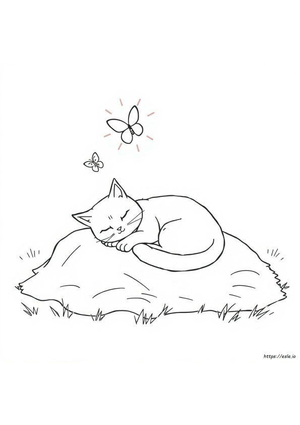 Kedi Şekerleme Boyama Sayfası