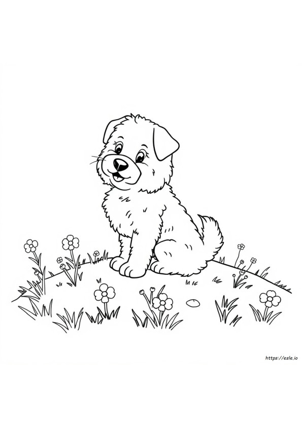 Coloriages Chien Printemps
