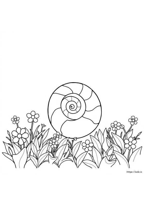 Spiral Coloring Pictures