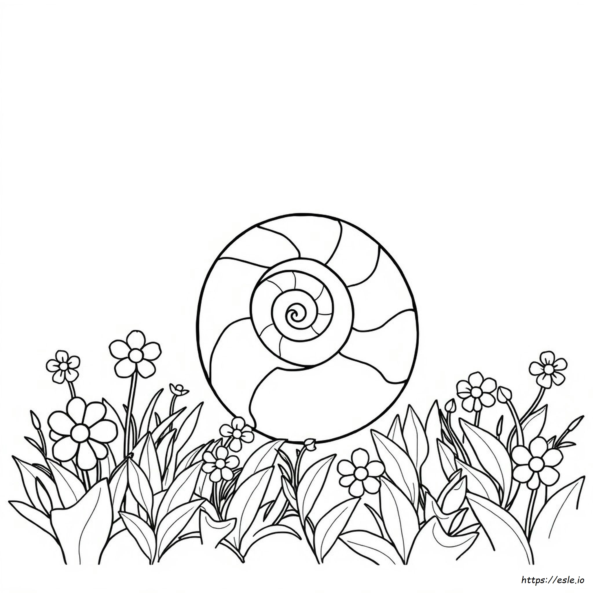 Spiral Coloring Pictures