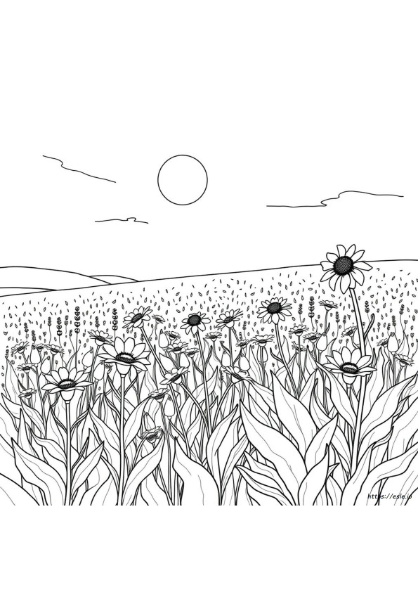 Annatto Coloring