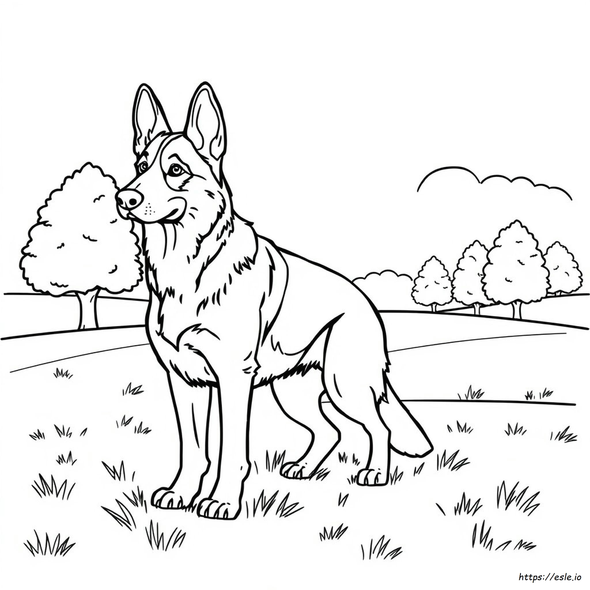 German Shepherd Colouring In