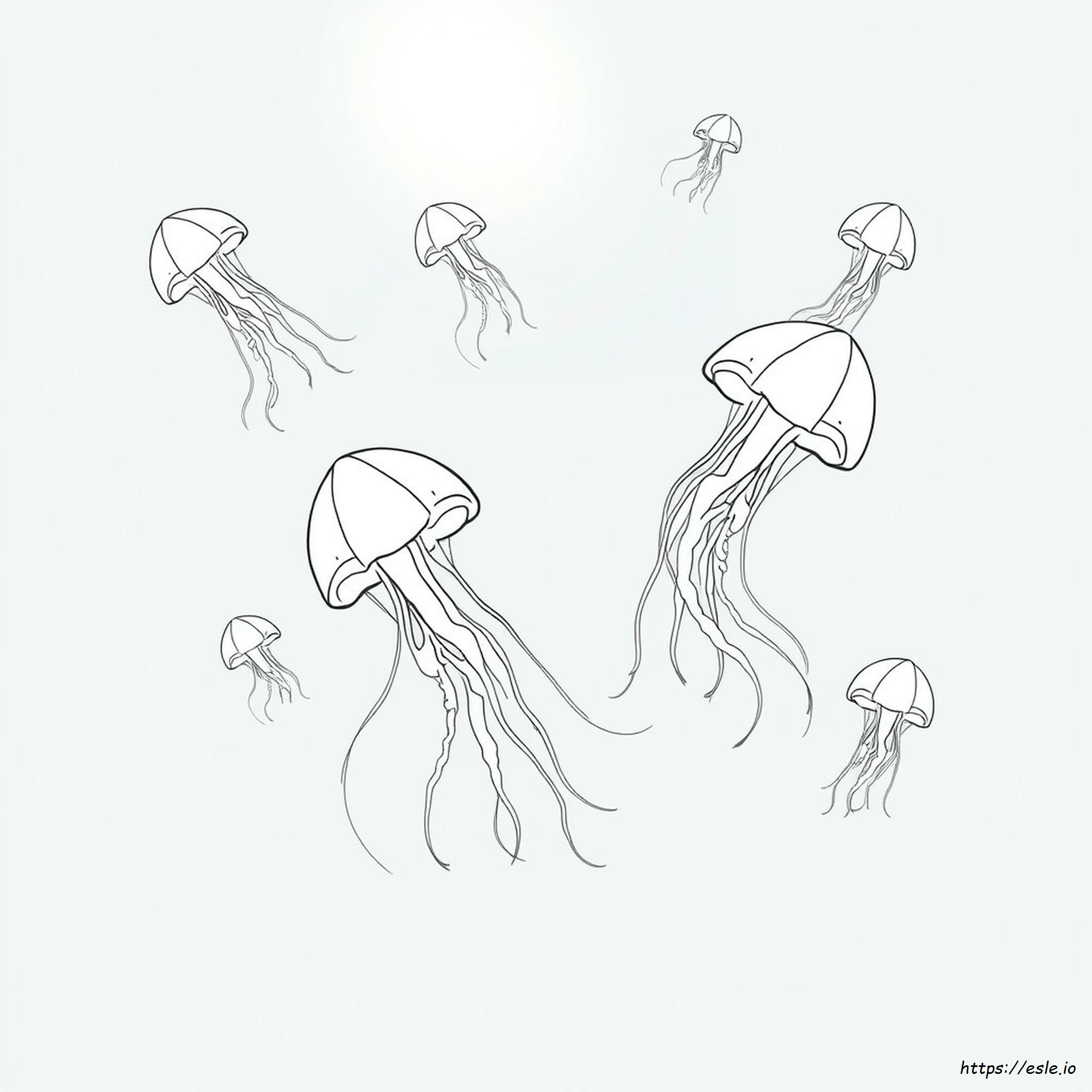 Jellyfish Coloring Page