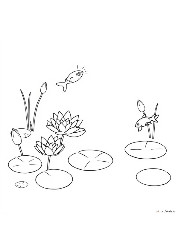 Desenhos Para Colorir De Lago Para Imprimir