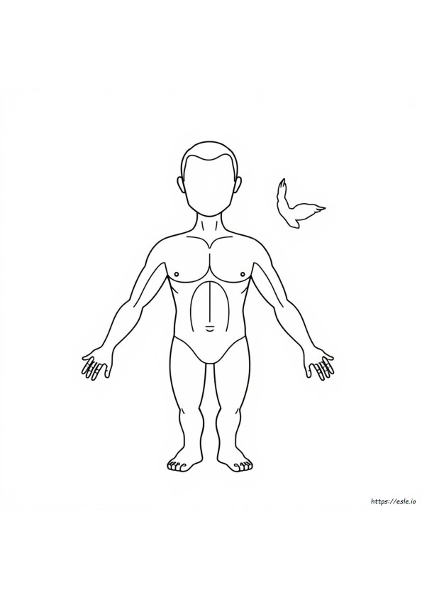 Coloring Picture Of Body Parts