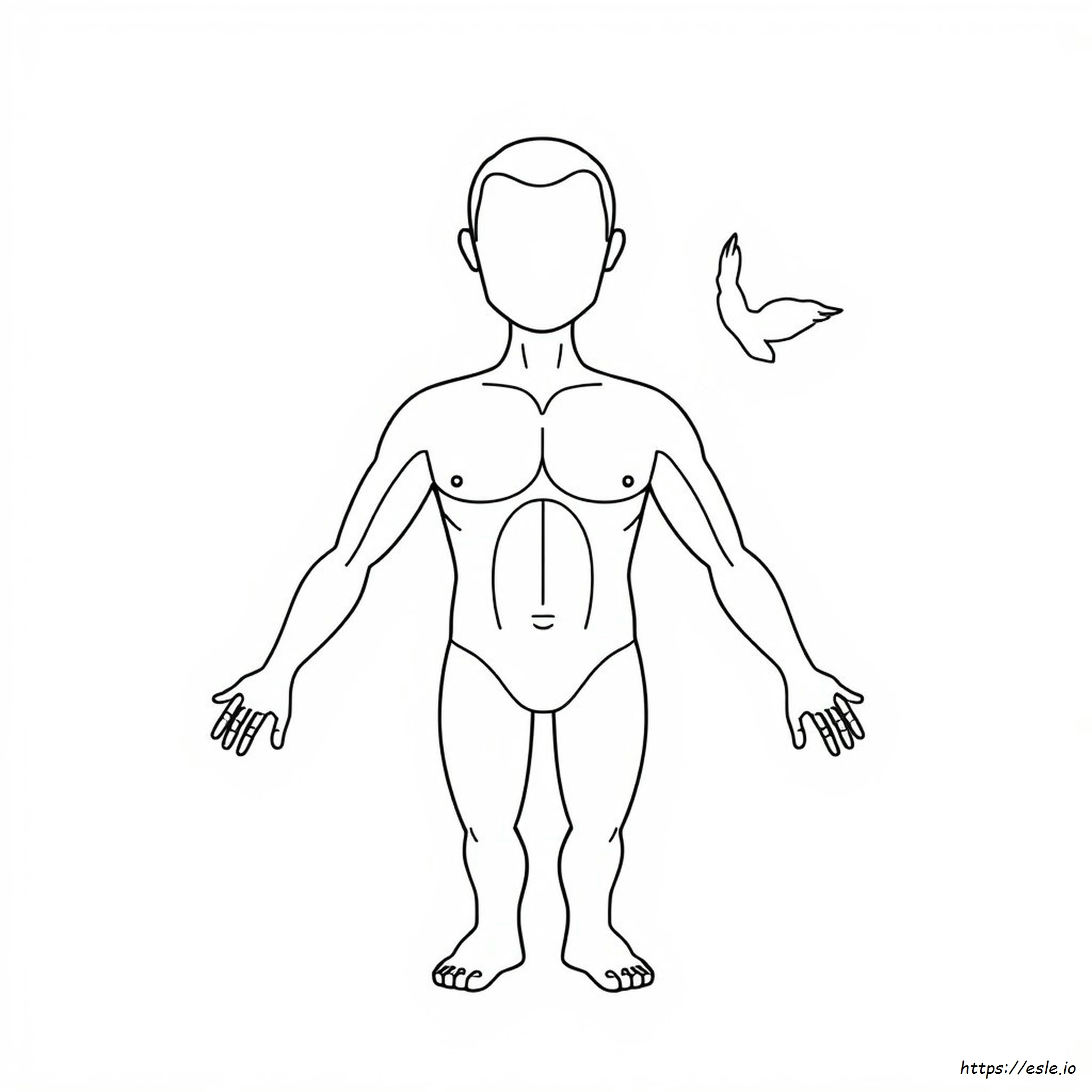 Body Parts Coloring Page - Free Printable for Kids