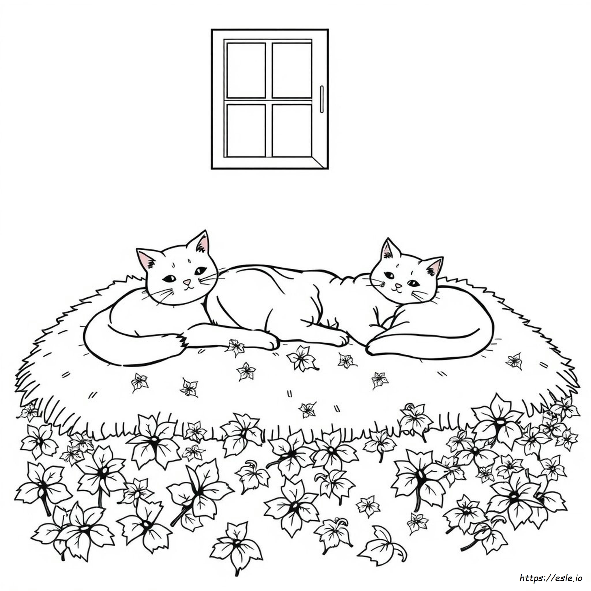 Halaman Mewarnai Catnip Yang Dapat Dicetak