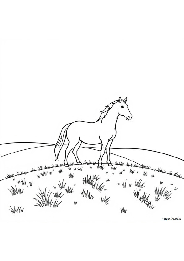 Cavalos Para Colorir Para Adultos