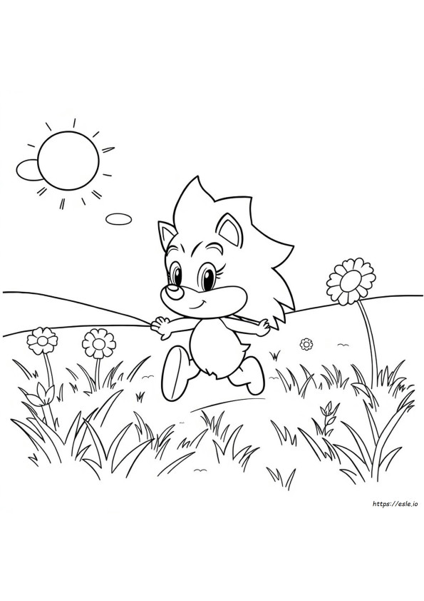 Sonia The Hedgehog Coloring Pages